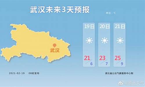 武汉天气预报查询一月_武汉天气预报查询一月30天