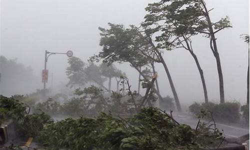 上海天气台风走了吗_上海天气台风走了吗现在