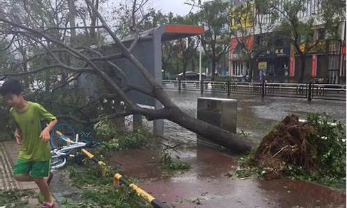 台风利奇马登陆_台风利奇马登陆给我国带来的损失有多大